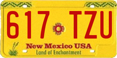 NM license plate 617TZU