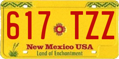 NM license plate 617TZZ