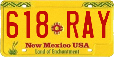 NM license plate 618RAY