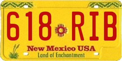 NM license plate 618RIB