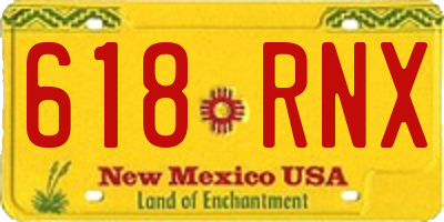 NM license plate 618RNX
