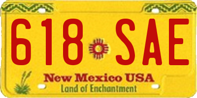 NM license plate 618SAE