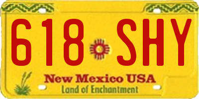 NM license plate 618SHY