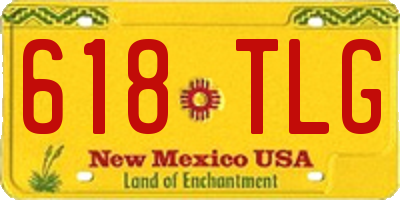 NM license plate 618TLG