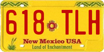 NM license plate 618TLH