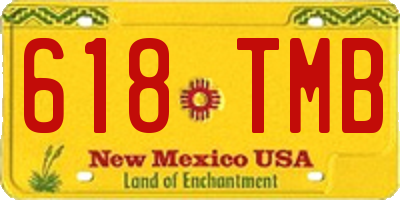NM license plate 618TMB
