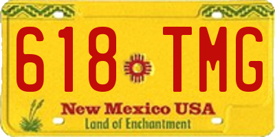 NM license plate 618TMG