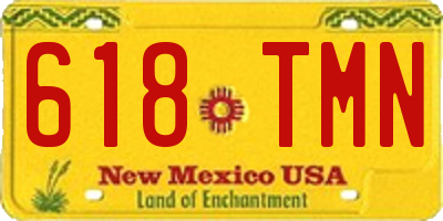 NM license plate 618TMN