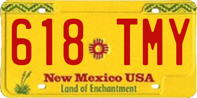 NM license plate 618TMY