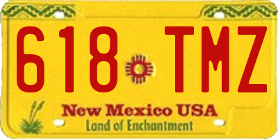 NM license plate 618TMZ