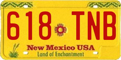 NM license plate 618TNB