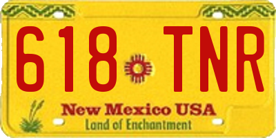NM license plate 618TNR