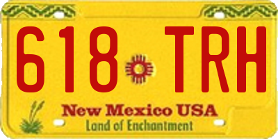 NM license plate 618TRH