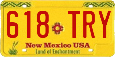 NM license plate 618TRY