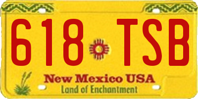 NM license plate 618TSB