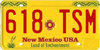 NM license plate 618TSM