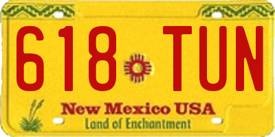 NM license plate 618TUN