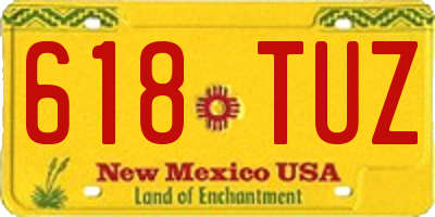 NM license plate 618TUZ