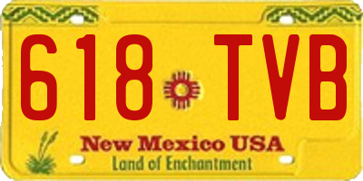 NM license plate 618TVB
