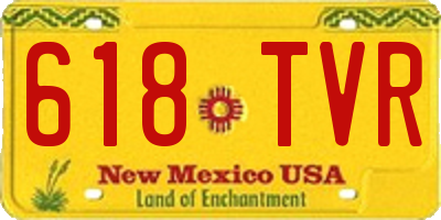 NM license plate 618TVR