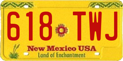 NM license plate 618TWJ