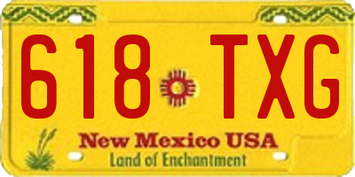 NM license plate 618TXG