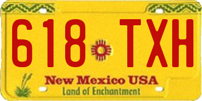 NM license plate 618TXH