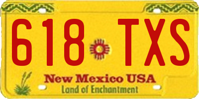 NM license plate 618TXS