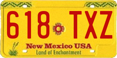 NM license plate 618TXZ