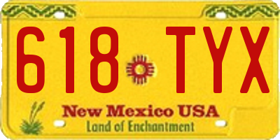 NM license plate 618TYX