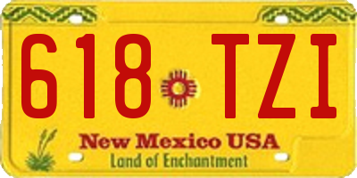 NM license plate 618TZI