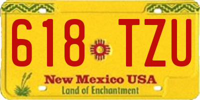 NM license plate 618TZU