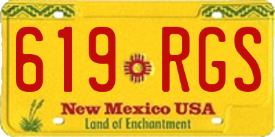 NM license plate 619RGS