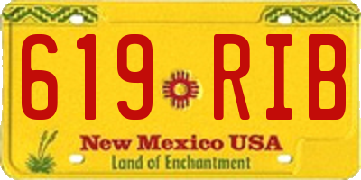 NM license plate 619RIB