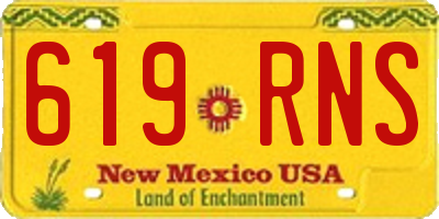 NM license plate 619RNS