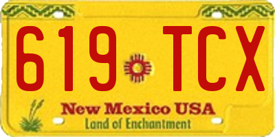 NM license plate 619TCX