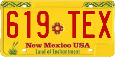 NM license plate 619TEX