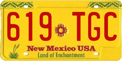 NM license plate 619TGC