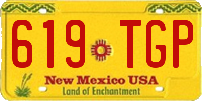 NM license plate 619TGP