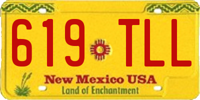 NM license plate 619TLL