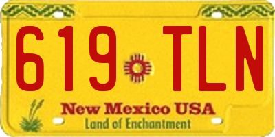 NM license plate 619TLN