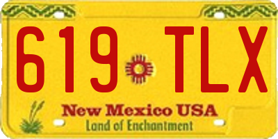 NM license plate 619TLX
