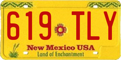 NM license plate 619TLY