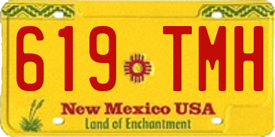 NM license plate 619TMH