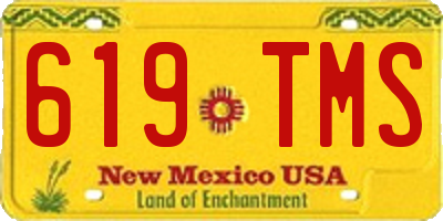 NM license plate 619TMS
