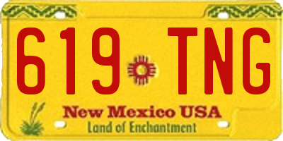 NM license plate 619TNG