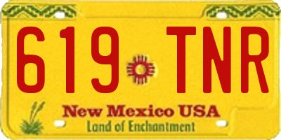 NM license plate 619TNR