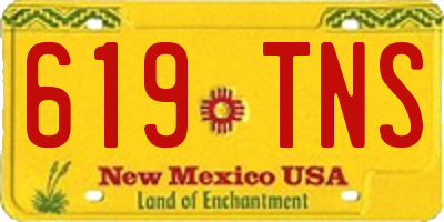 NM license plate 619TNS