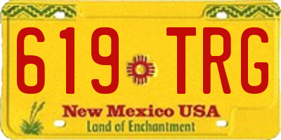 NM license plate 619TRG