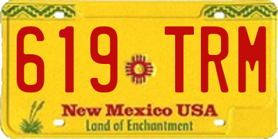 NM license plate 619TRM